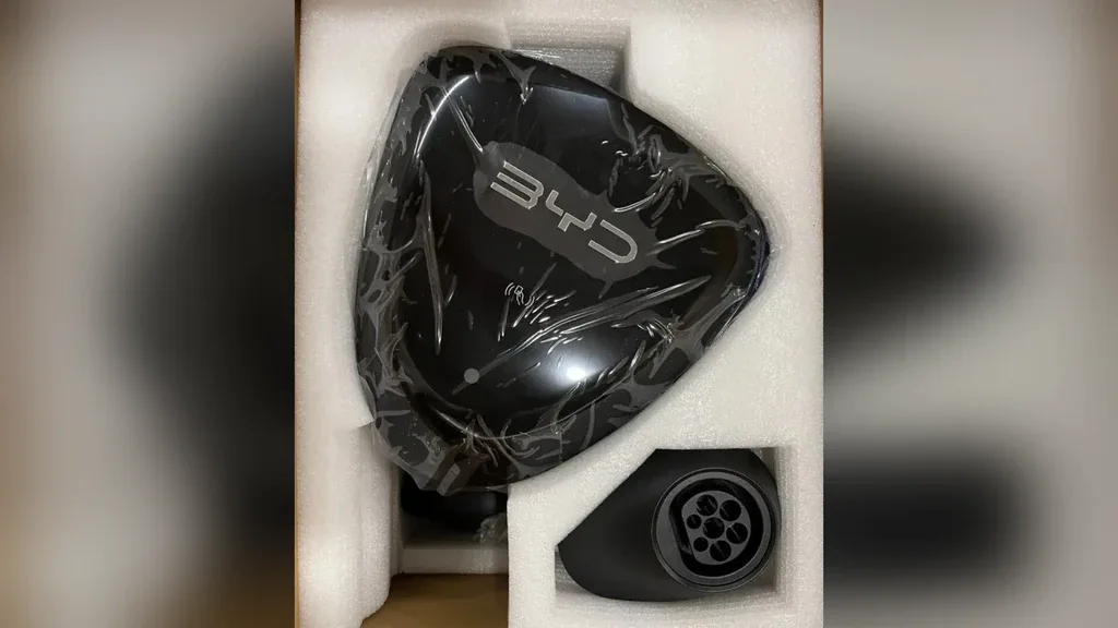 BYD Dolphin Mini - Imagem 18