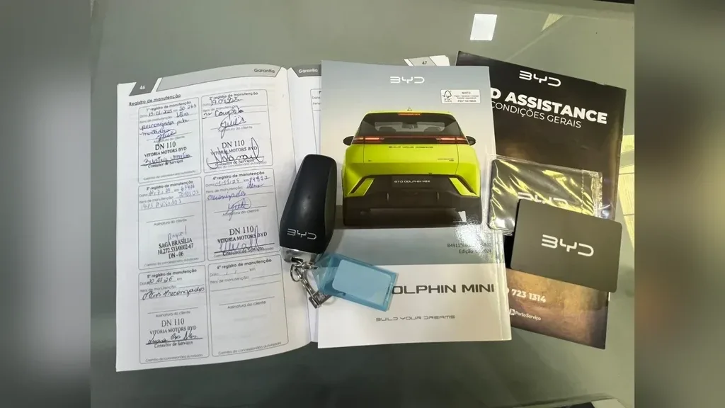 BYD Dolphin Mini - Imagem 2