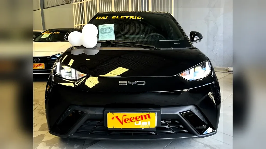 BYD Dolphin Mini - Imagem 5