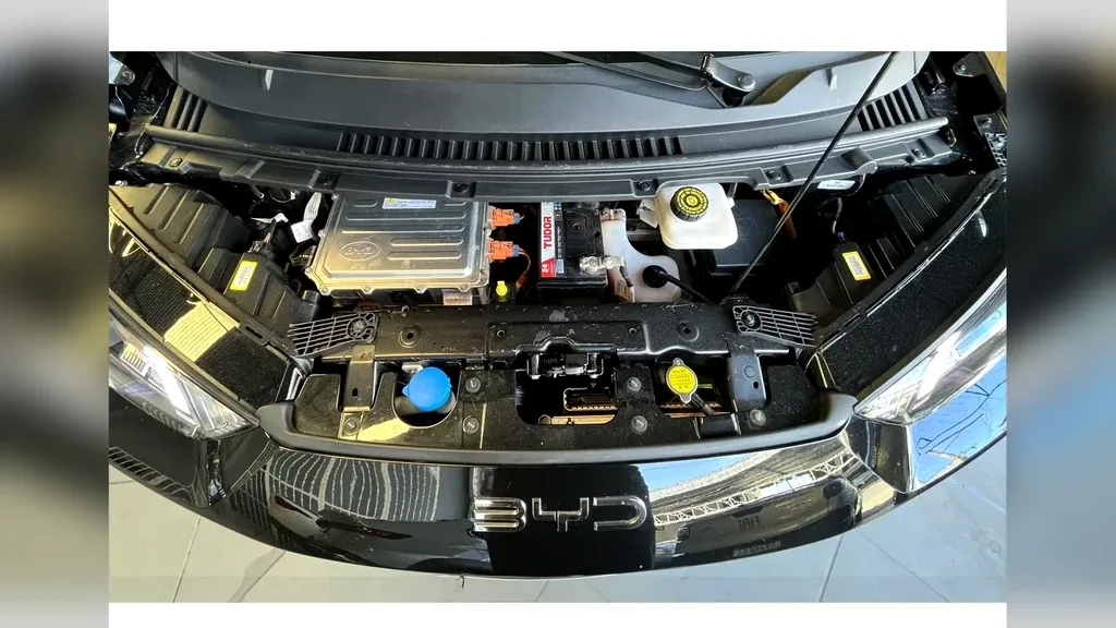 BYD Dolphin Mini - Imagem 17