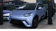 BYD Dolphin Mini