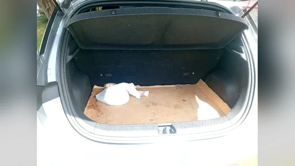 BYD Dolphin - Imagem 15