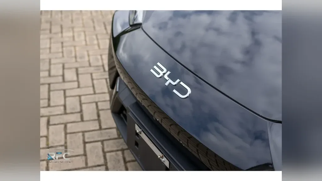 BYD Dolphin Mini - Imagem 5