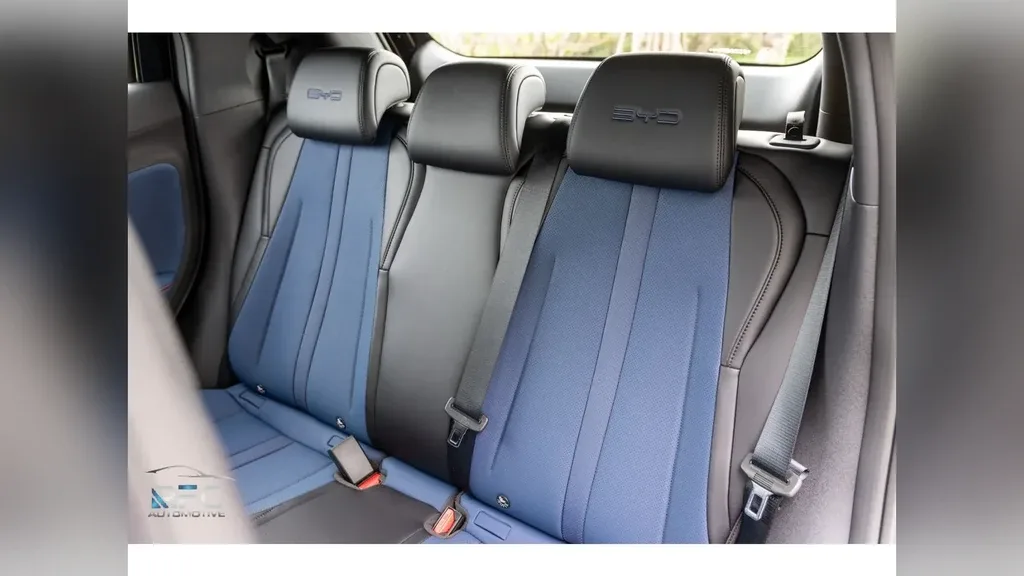 BYD Dolphin Mini - Imagem 14