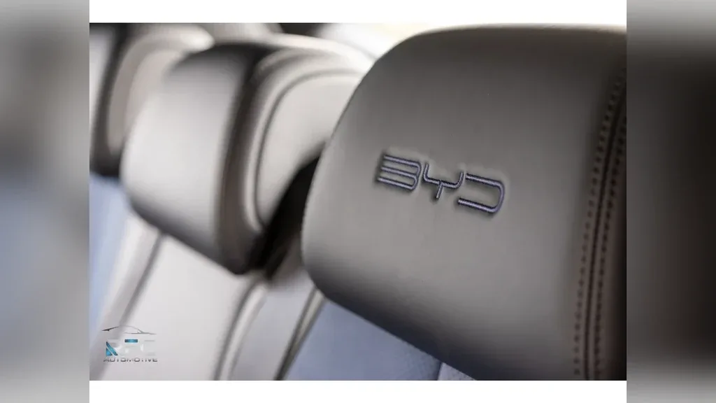 BYD Dolphin Mini - Imagem 15