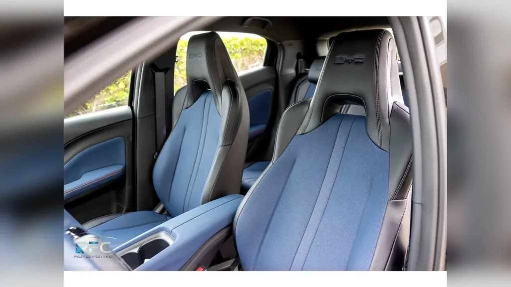 BYD Dolphin Mini - Imagem 16