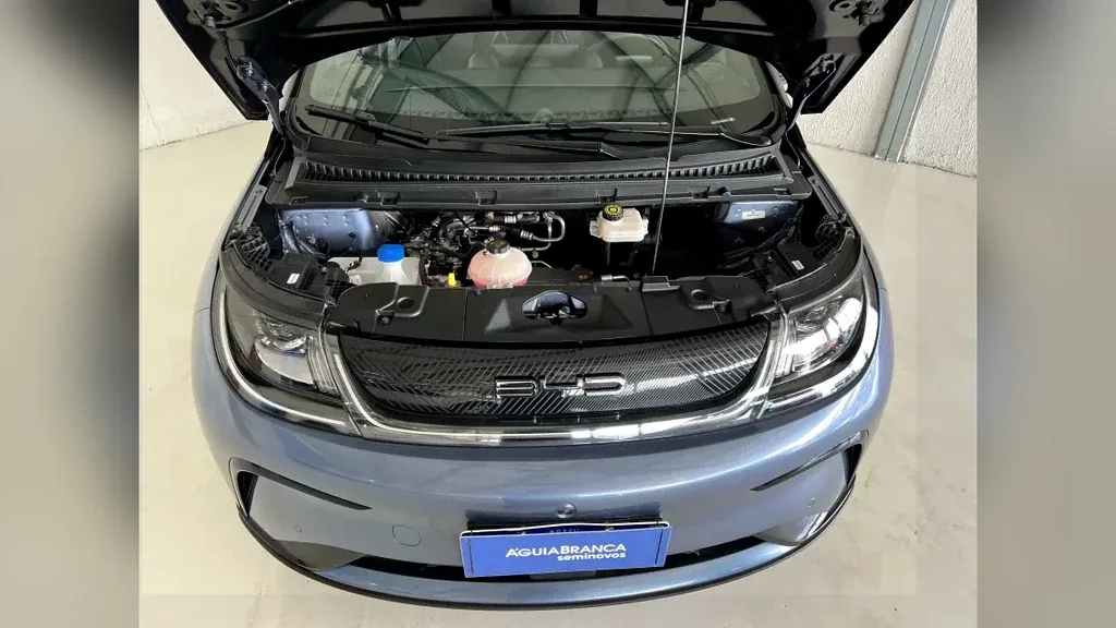 BYD Dolphin Plus - Imagem 6