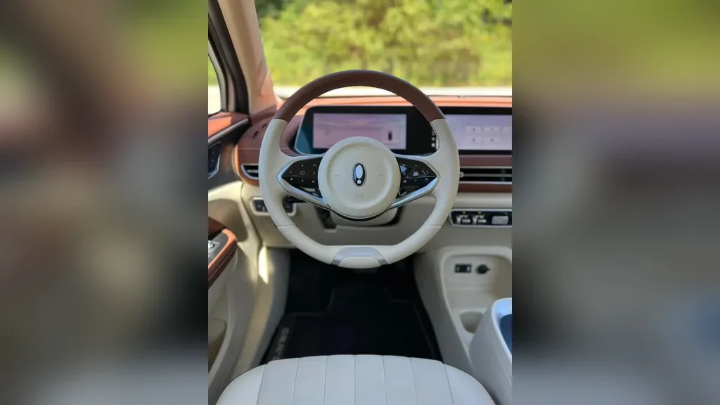 GWM Ora 03 - Imagem 12