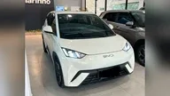 BYD Dolphin Mini - Miniatura 1