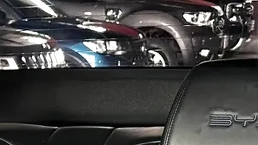 BYD Dolphin Mini - Imagem 8