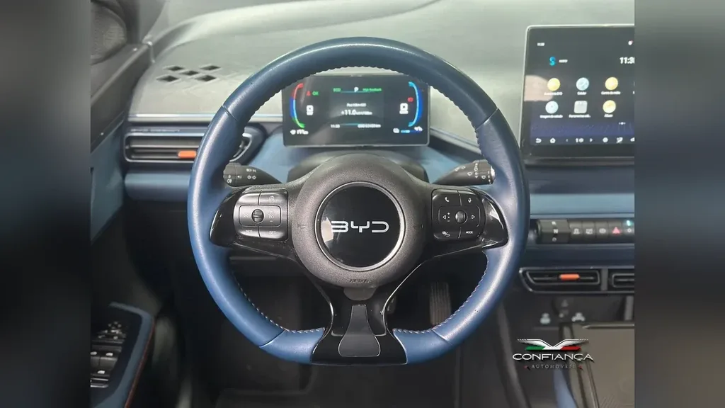 BYD Dolphin Mini - Imagem 13
