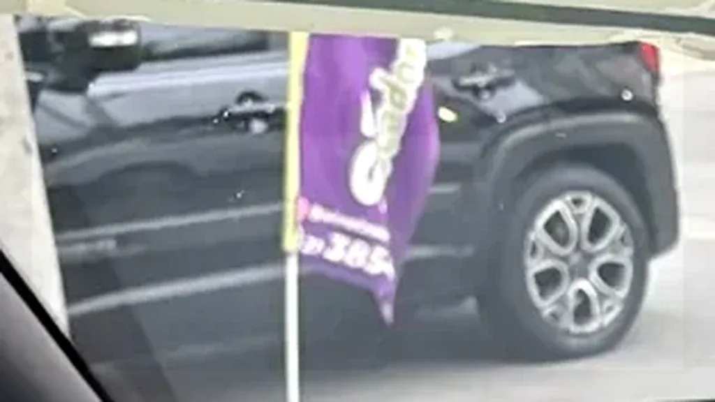 BYD Dolphin Mini - Imagem 8