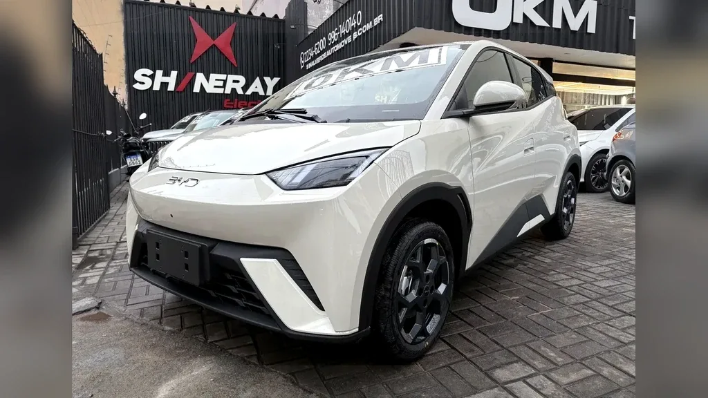 BYD Dolphin Mini - Imagem 12