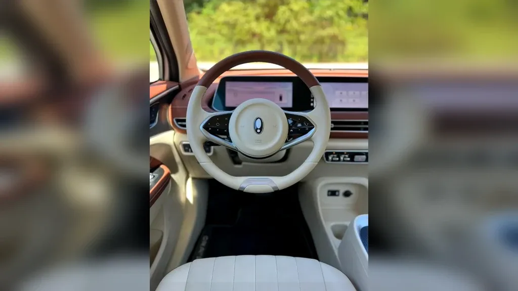 GWM Ora 03 - Imagem 12