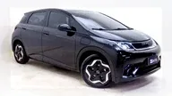 BYD Dolphin - Miniatura 1