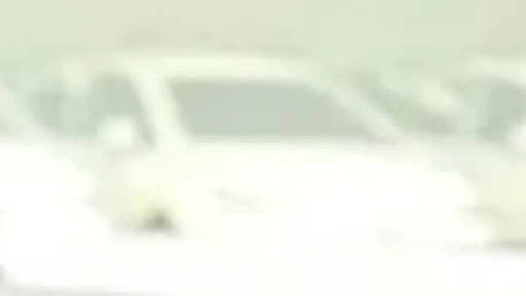 BYD Dolphin Mini - Imagem 5