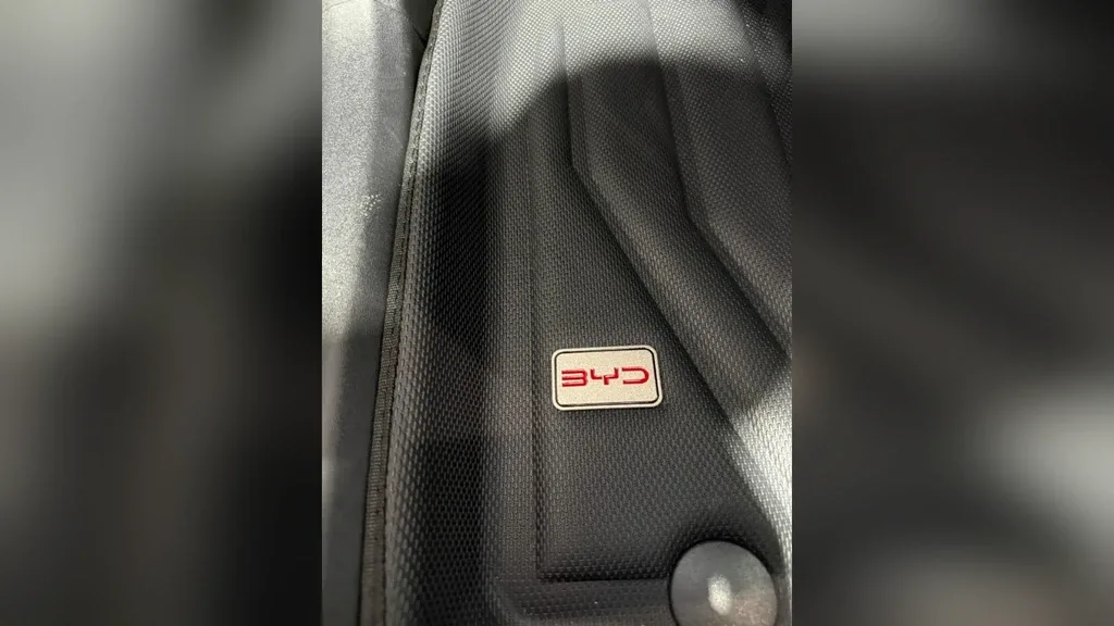 BYD Dolphin Mini - Imagem 15