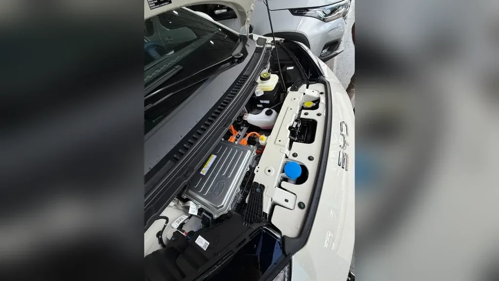 BYD Dolphin Mini - Imagem 16