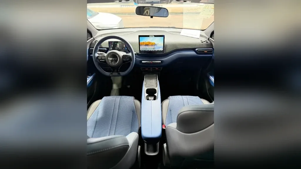 BYD Dolphin Mini - Imagem 18