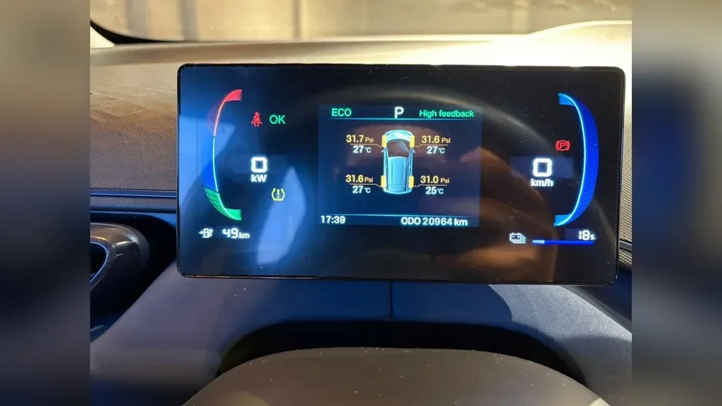 BYD Dolphin Mini - Imagem 8