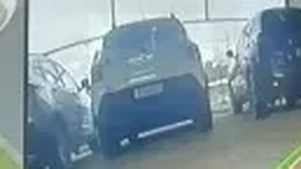 BYD Dolphin - Imagem 13