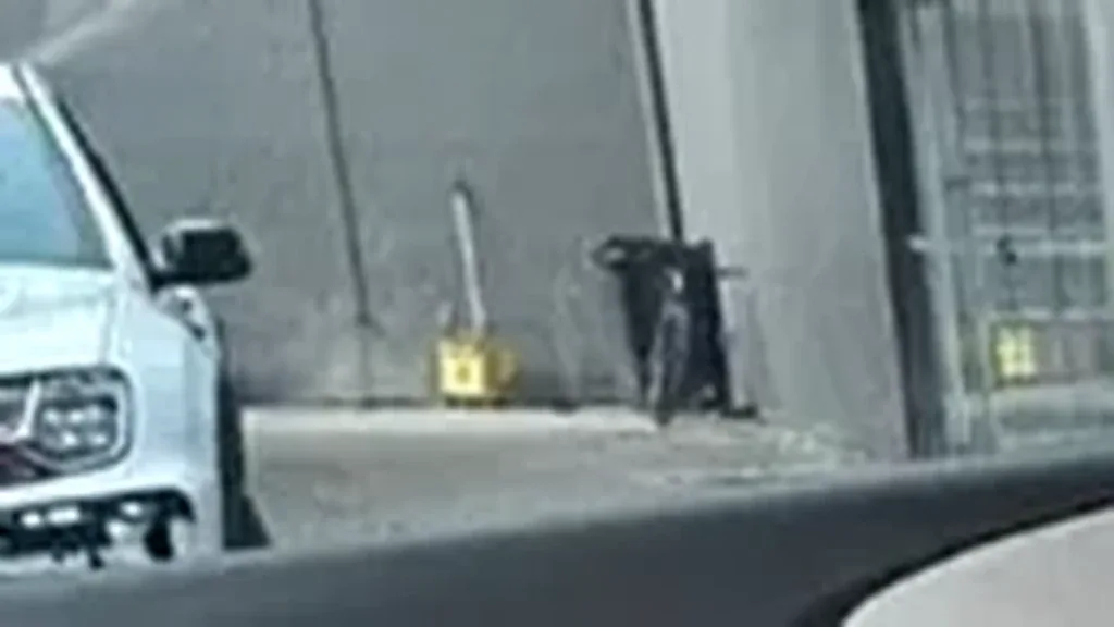 BYD Dolphin - Imagem 16