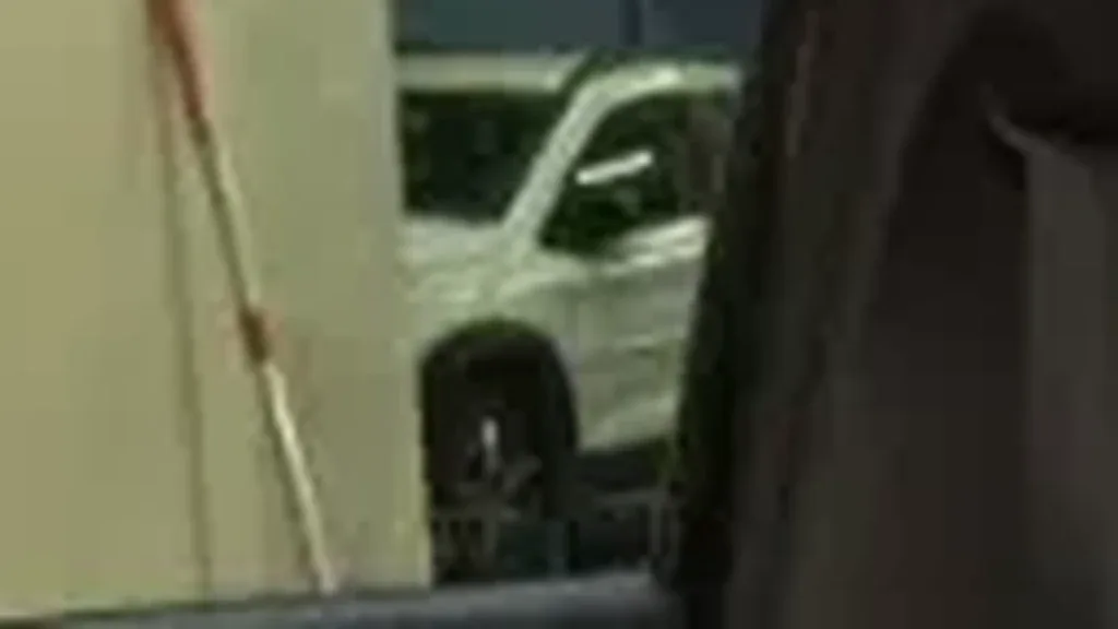 BYD Dolphin Mini - Imagem 9