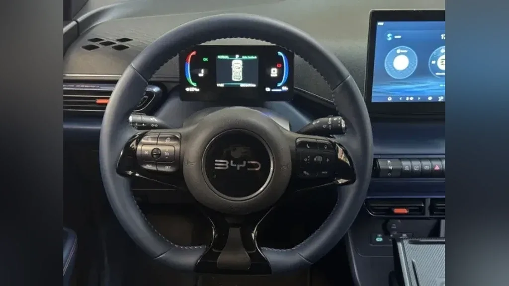 BYD Dolphin Mini - Imagem 18