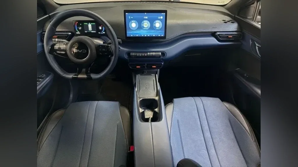 BYD Dolphin Mini - Imagem 20