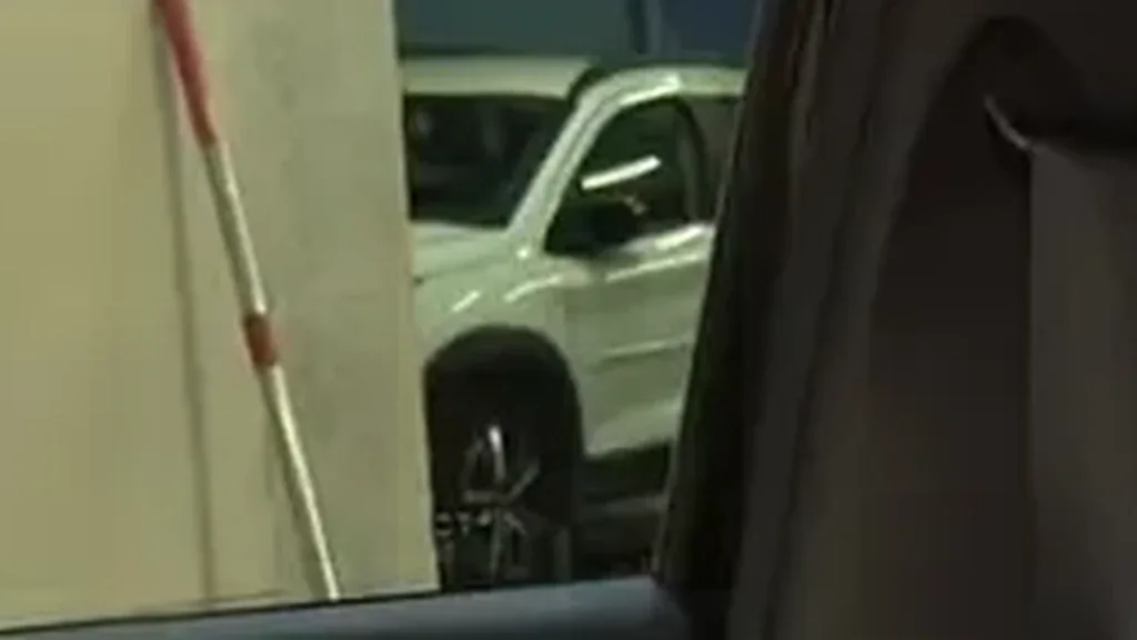 BYD Dolphin Mini - Imagem 8