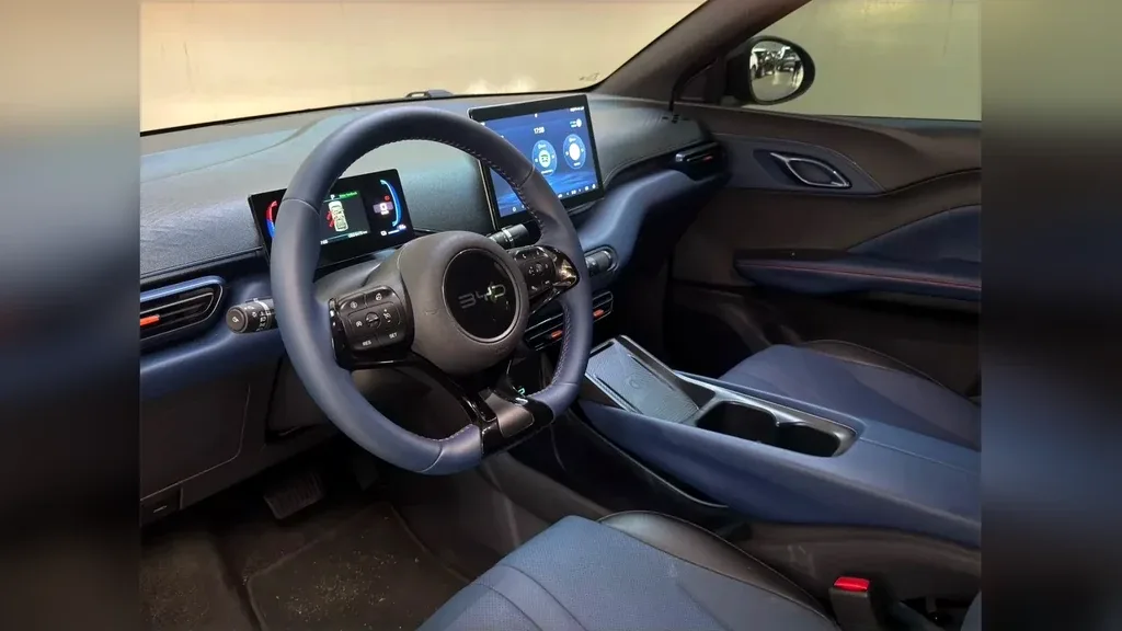 BYD Dolphin Mini - Imagem 13