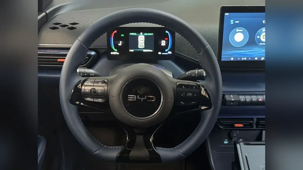 BYD Dolphin Mini - Imagem 14