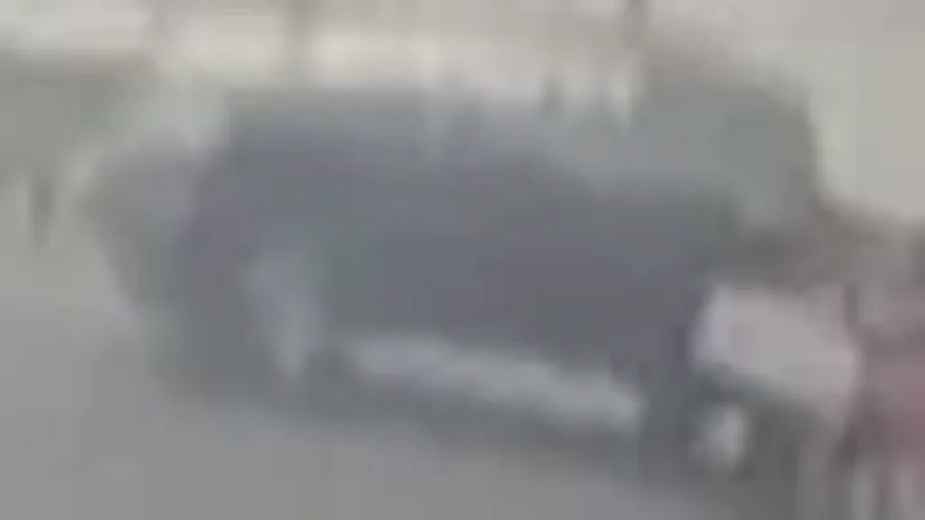 BYD Dolphin Mini - Imagem 8