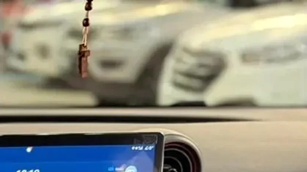 BYD Dolphin - Imagem 14