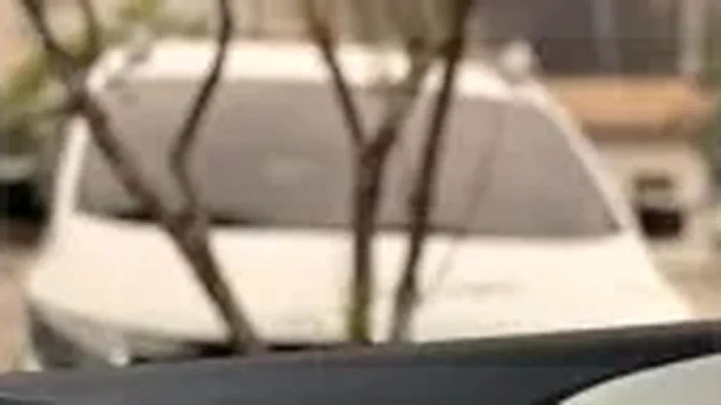 BYD Dolphin - Imagem 18