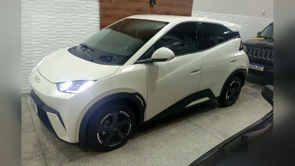 BYD Dolphin Mini - Imagem 10