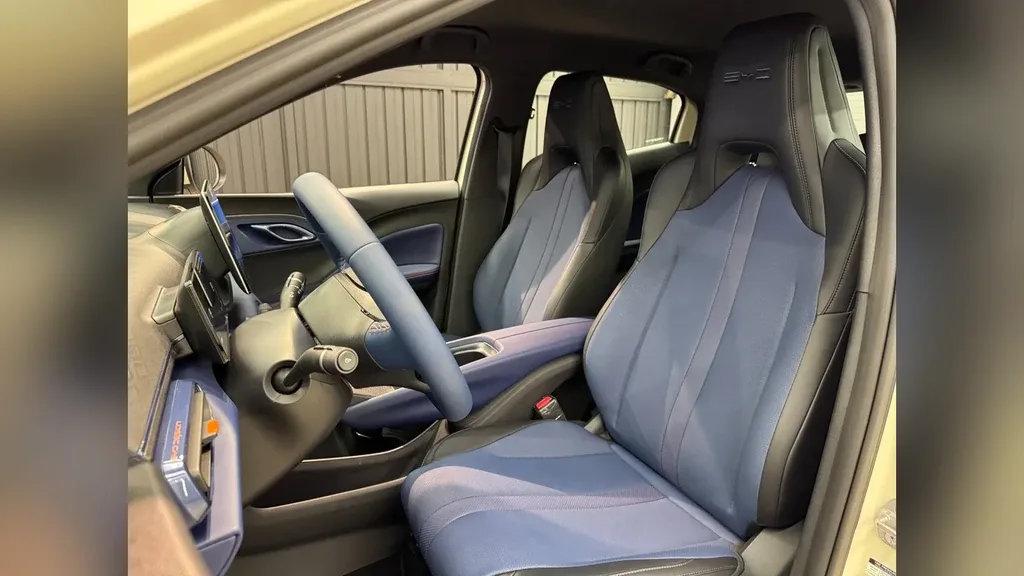 BYD Dolphin Mini - Imagem 16