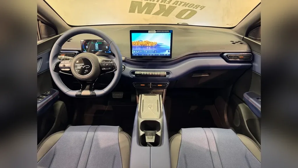 BYD Dolphin Mini - Imagem 9