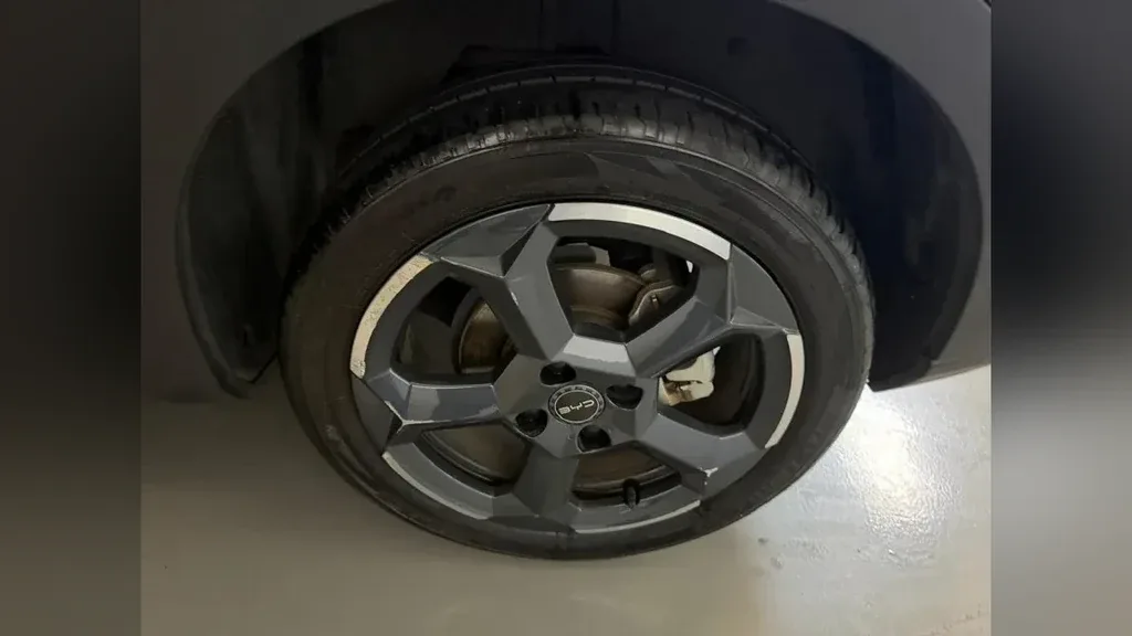 BYD Dolphin Mini - Imagem 13