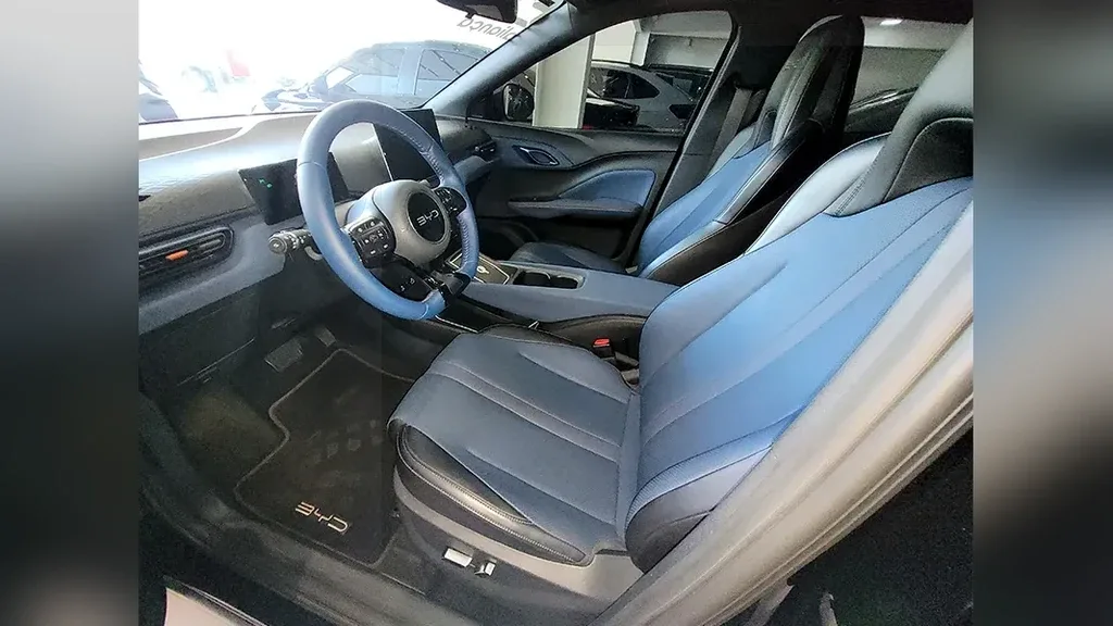 BYD Dolphin Mini - Imagem 8