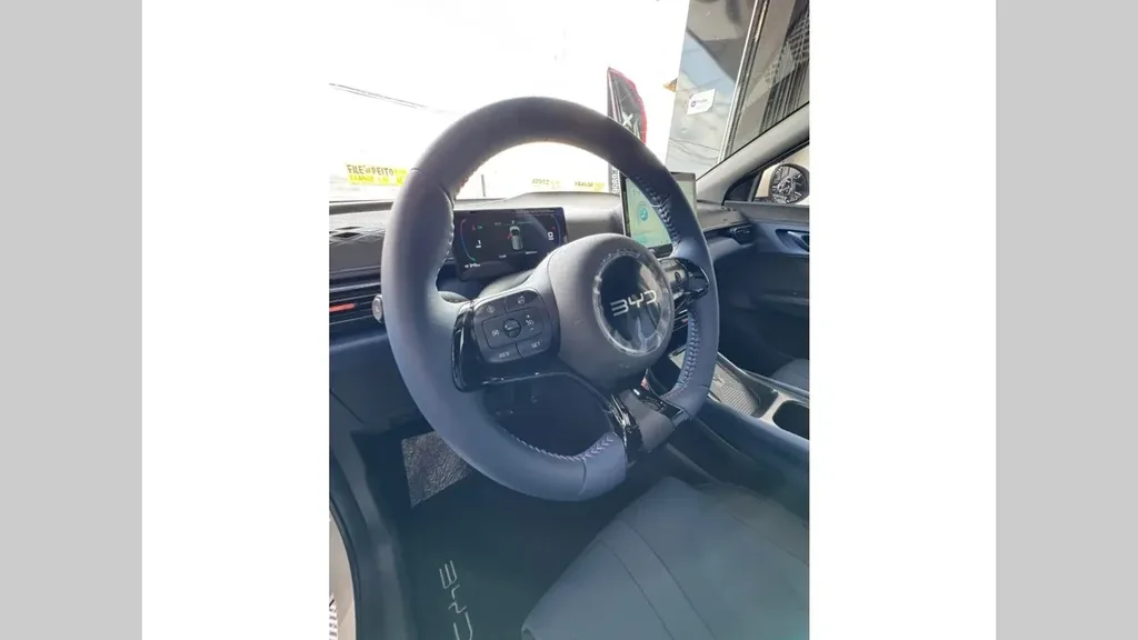 BYD Dolphin Mini - Imagem 10