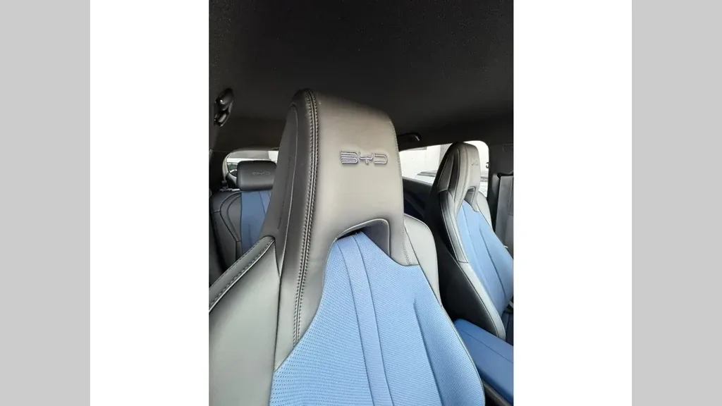 BYD Dolphin Mini - Imagem 12