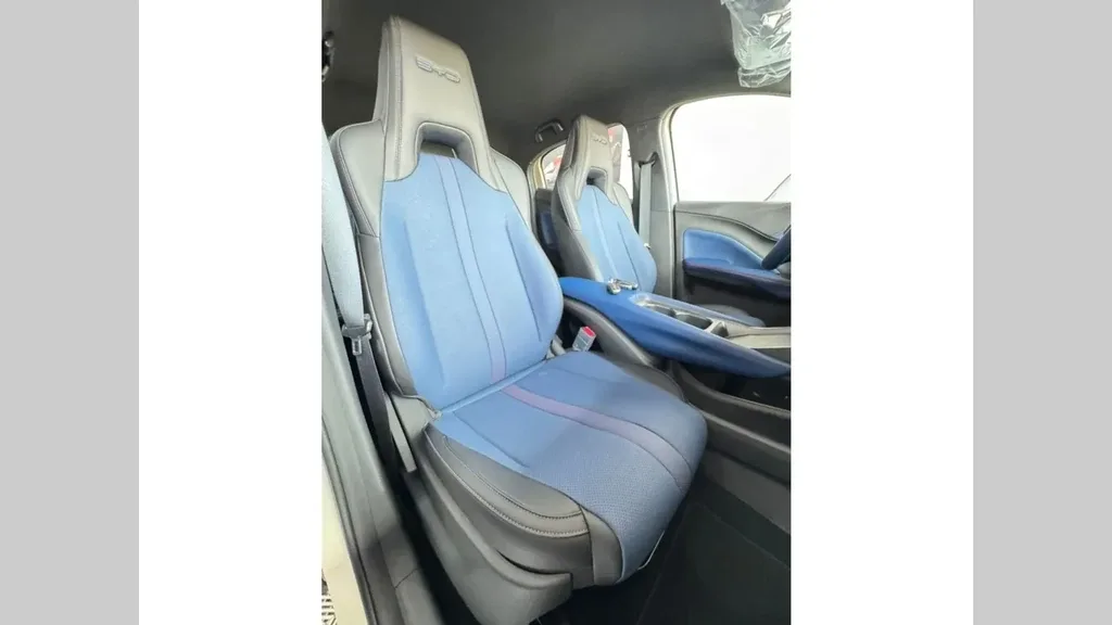 BYD Dolphin Mini - Imagem 13