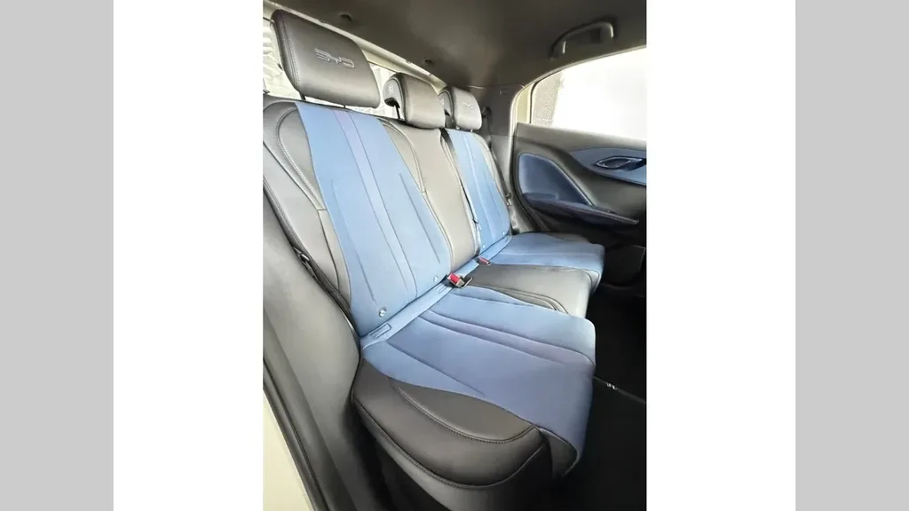 BYD Dolphin Mini - Imagem 14