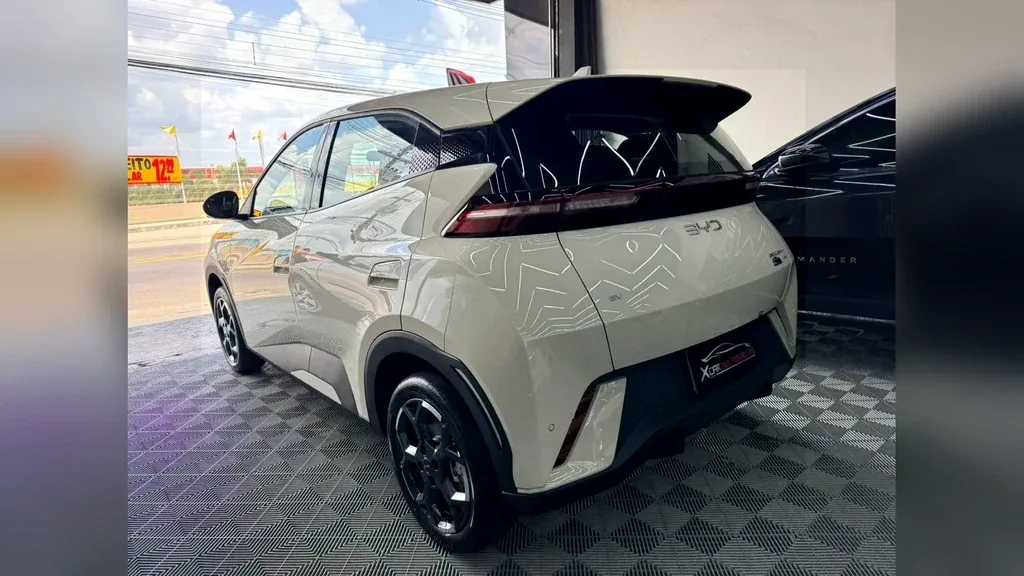 BYD Dolphin Mini - Imagem 15