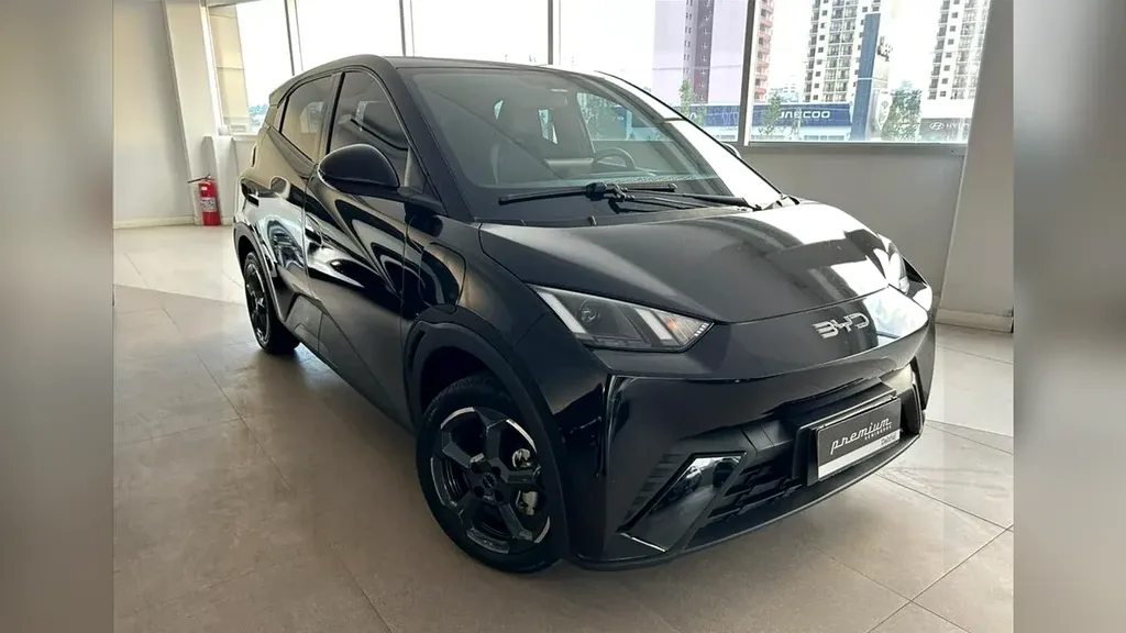 BYD Dolphin Mini - Imagem 2