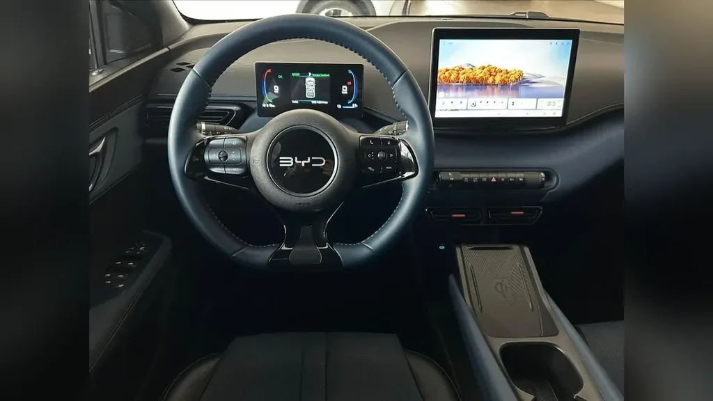 BYD Dolphin Mini - Imagem 7
