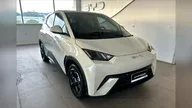 BYD Dolphin Mini - Miniatura 1