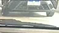 BYD Dolphin Mini - Miniatura 7
