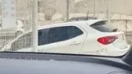 BYD Yuan Plus - Miniatura 8